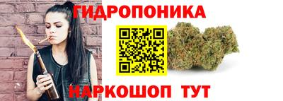 гидра Дубна