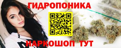 гидра Дубна