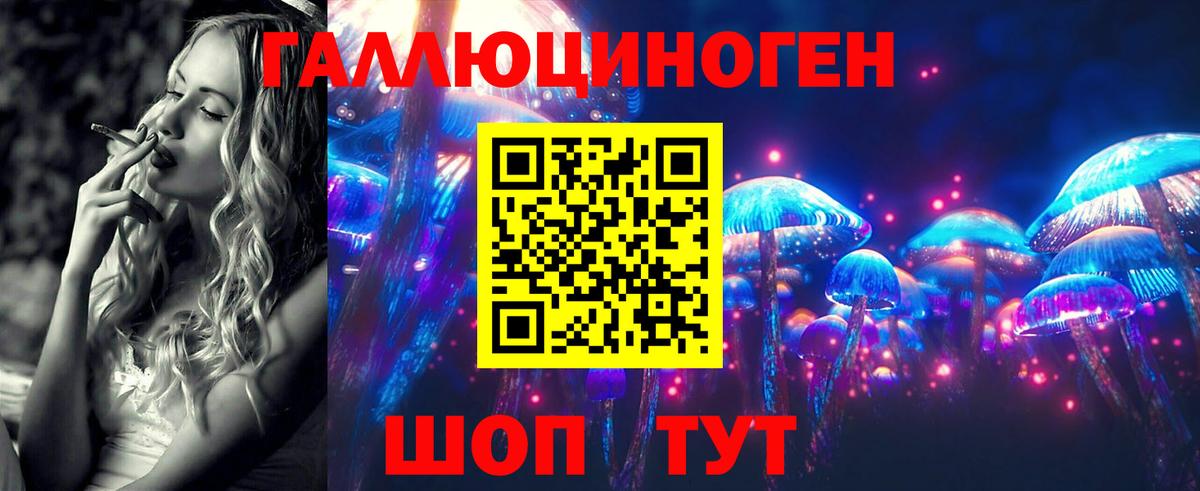 Псилоцибиновые грибы Psilocybe  Вход с VPN  Лосино-Петровский 